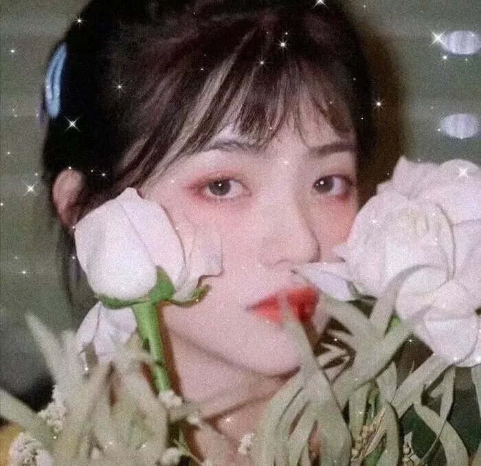 我只认识你